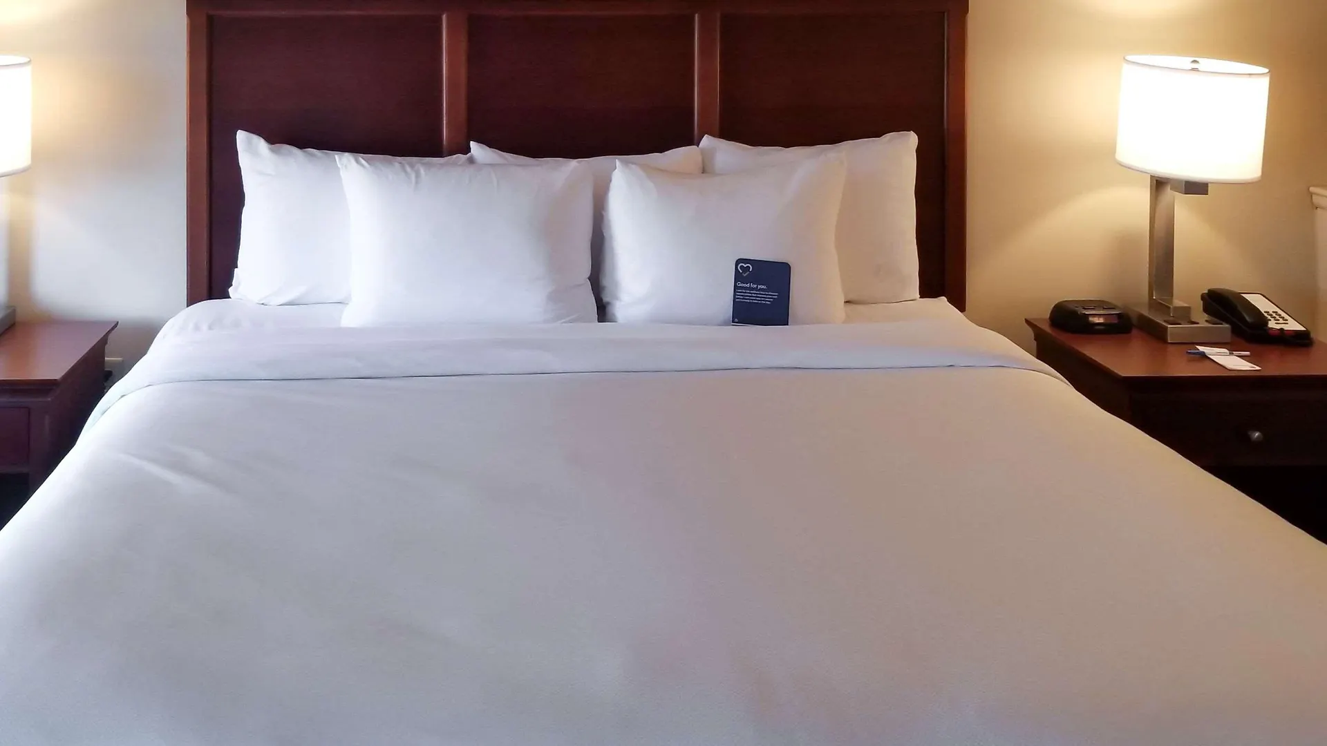 Hotel Comfort Inn & Suites Tempe Phoenix Sky Harbor Airport